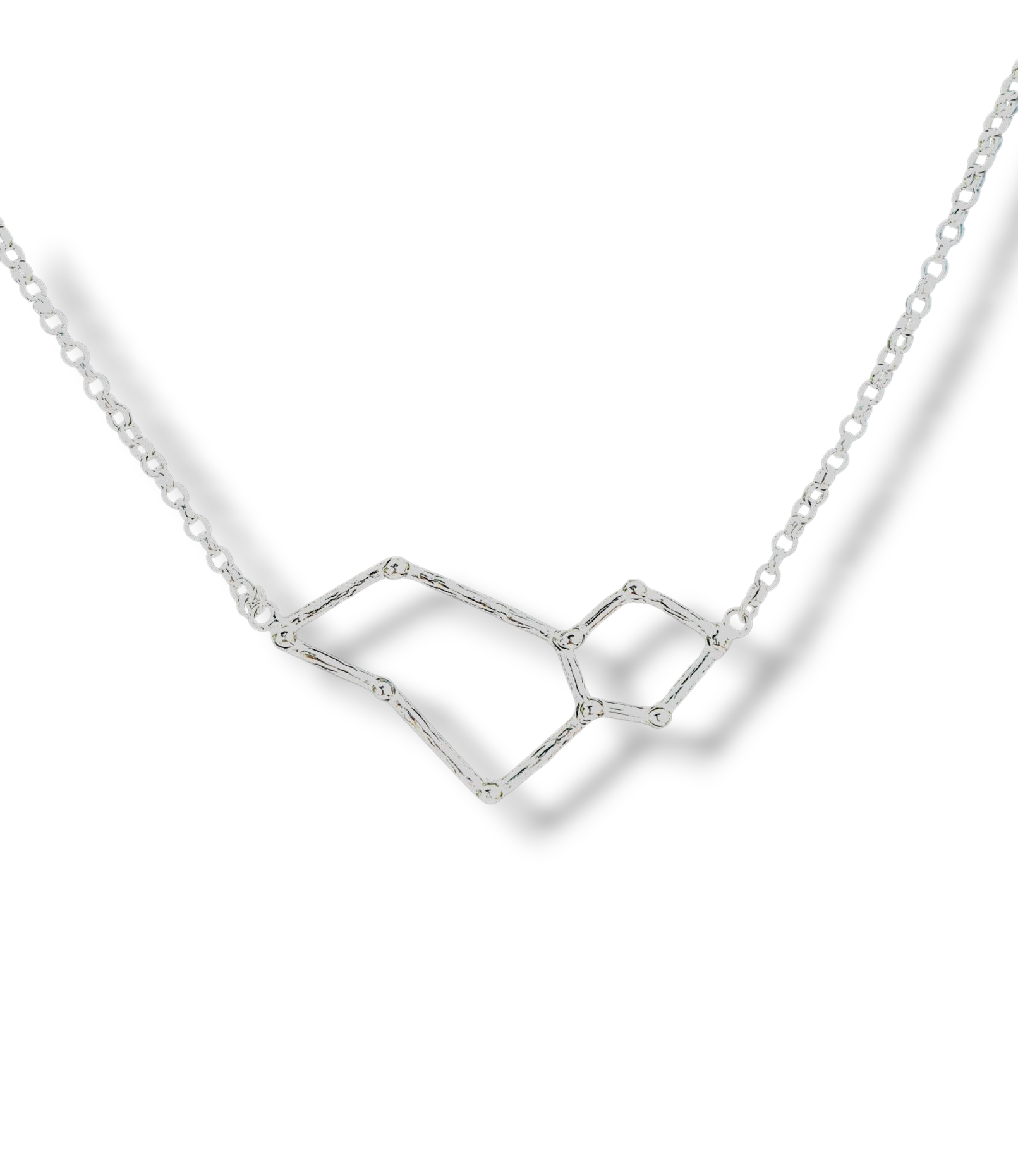 Leo - Sterling silver zodiac necklace