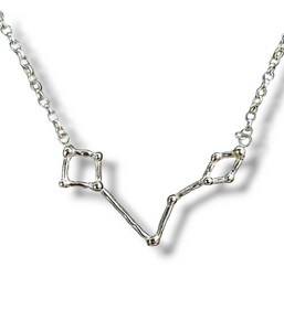 Pisces - Sterling silver zodiac necklace