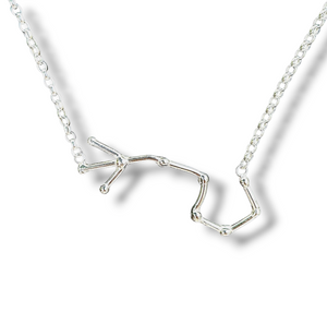 Scorpio - Sterling silver zodiac necklace
