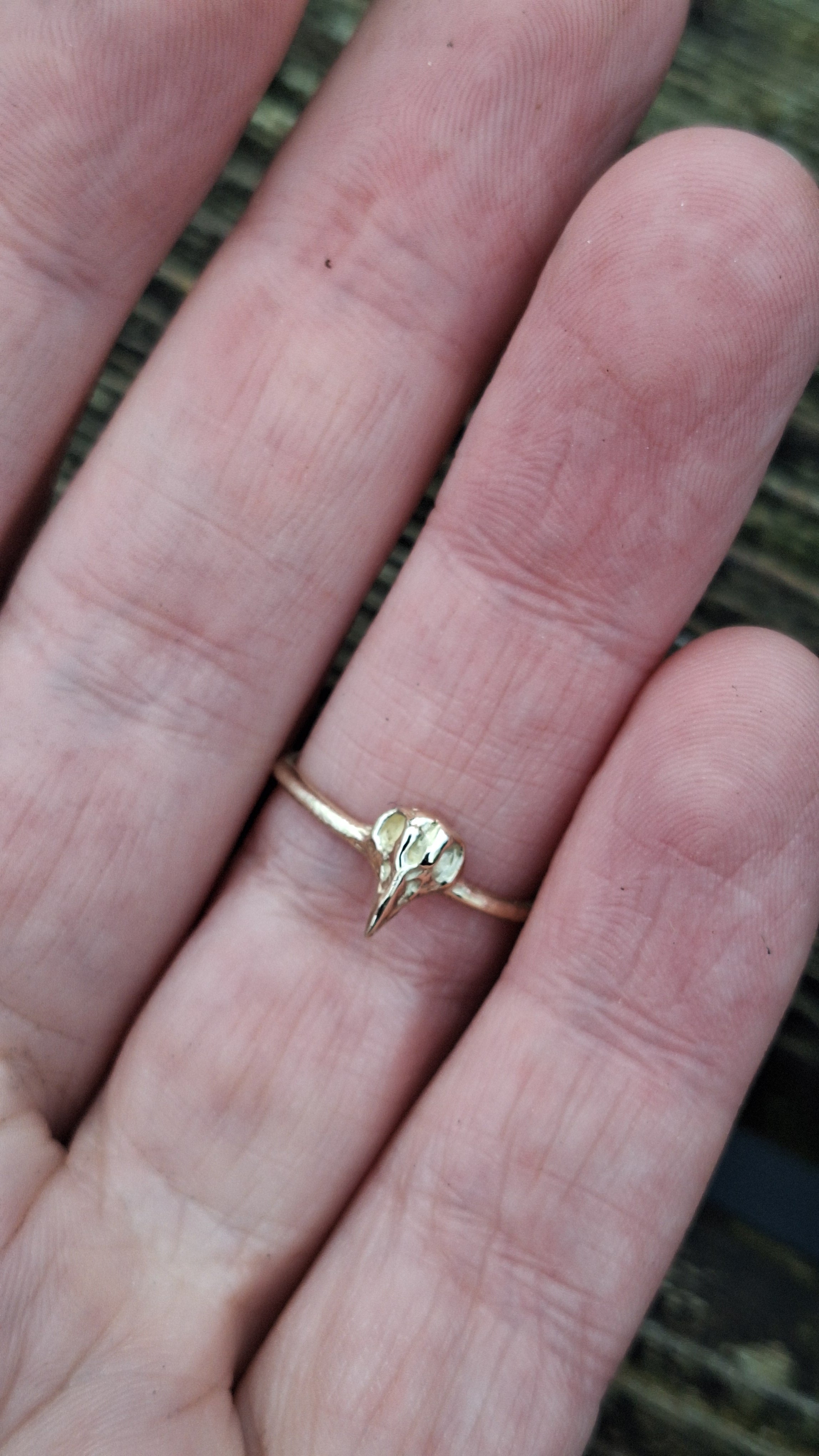 The Morrigan - 9k gold ring