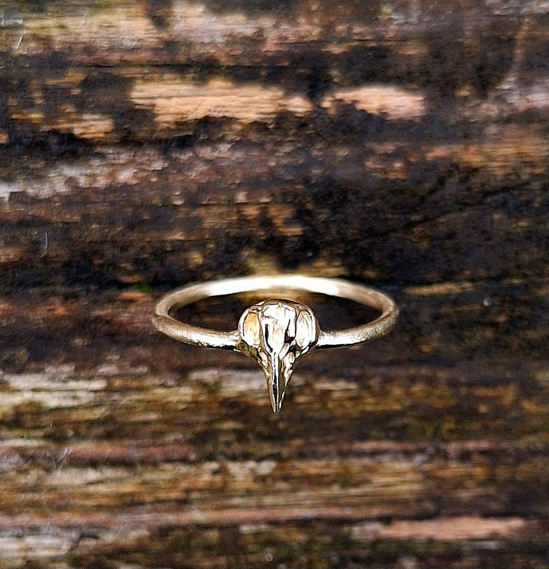 The Morrigan - 9k gold ring